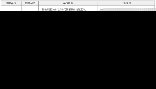 2017年天津保税区政府雇员招聘岗位表.jpg